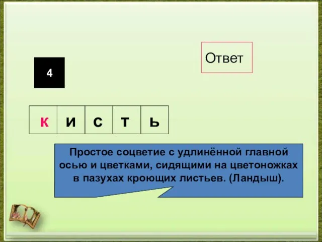 4 Простое соцветие с удлинённой главной осью и цветками, сидящими на цветоножках