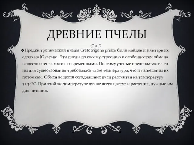 ДРЕВНИЕ ПЧЕЛЫ Предки тропической пчелы Cretotrigona prisca были найдены в янтарных слоях