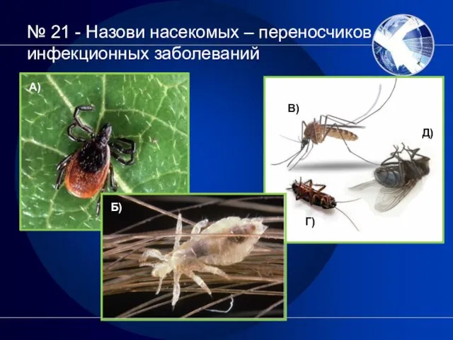 № 21 - Назови насекомых – переносчиков инфекционных заболеваний А) Б) В) Г) Д)