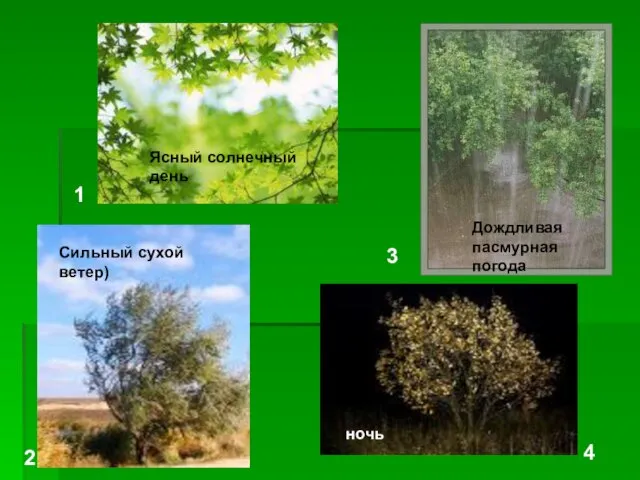 1 2 3 4 Сильный сухой ветер) Дождливая пасмурная погода Ясный солнечный день ночь