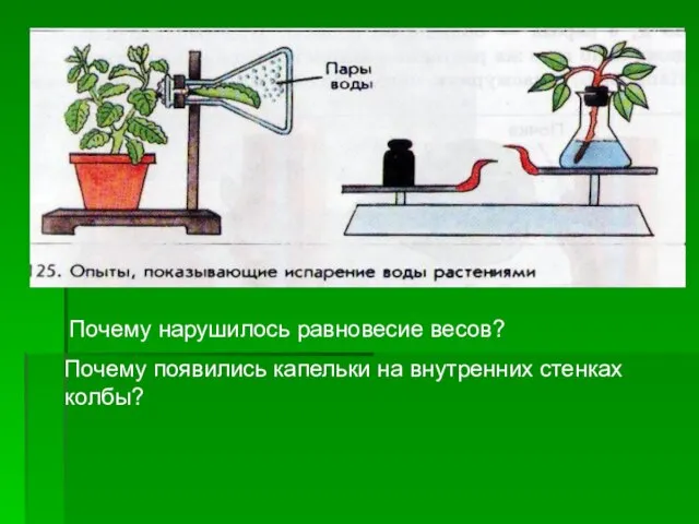 Почему нарушилось равновесие весов? Почему появились капельки на внутренних стенках колбы?