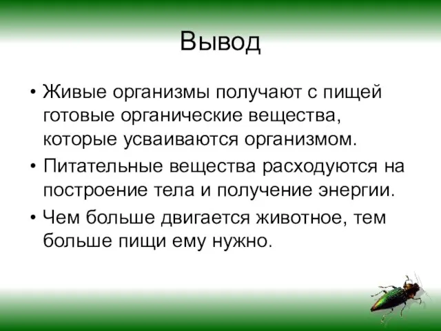 Вывод Живые организмы получают с пищей готовые органические вещества, которые усваиваются организмом.