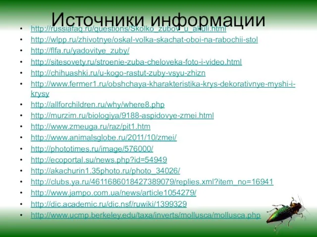 Источники информации http://russiafaq.ru/questions/Skolko_zubov_u_akuli.html http://wlpp.ru/zhivotnye/oskal-volka-skachat-oboi-na-rabochii-stol http://flfa.ru/yadovitye_zuby/ http://sitesovety.ru/stroenie-zuba-cheloveka-foto-i-video.html http://chihuashki.ru/u-kogo-rastut-zuby-vsyu-zhizn http://www.fermer1.ru/obshchaya-kharakteristika-krys-dekorativnye-myshi-i-krysy http://allforchildren.ru/why/where8.php http://murzim.ru/biologiya/9188-aspidovye-zmei.html http://www.zmeuga.ru/raz/pit1.htm http://www.animalsglobe.ru/2011/10/zmei/