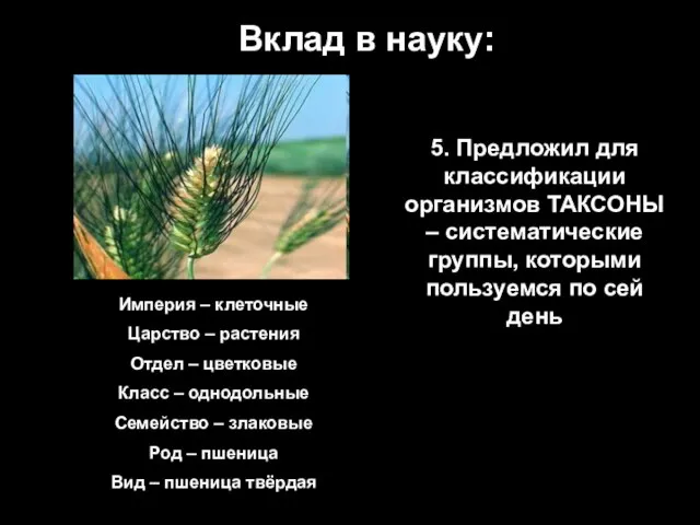 Вклад в науку: 5. Предложил для классификации организмов ТАКСОНЫ – систематические группы,