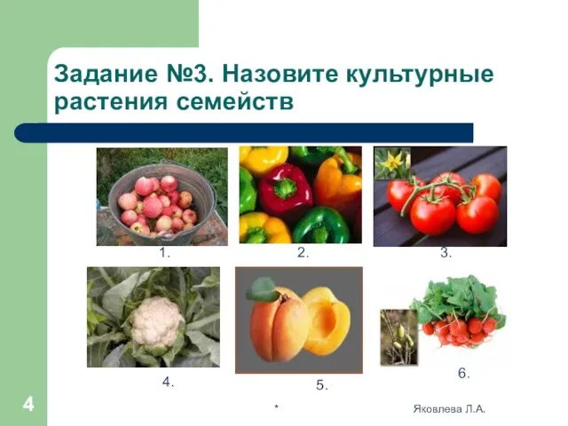 * Яковлева Л.А. Задание №3. Назовите культурные растения семейств 1. 2. 3. 4. 5. 6.