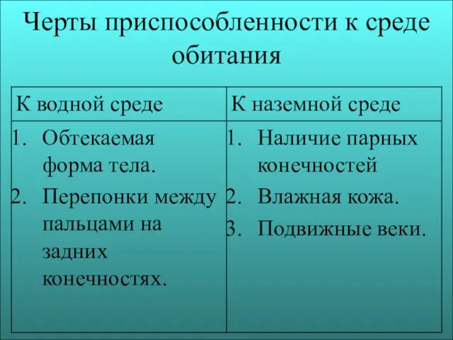 Черты приспособленности к среде обитания