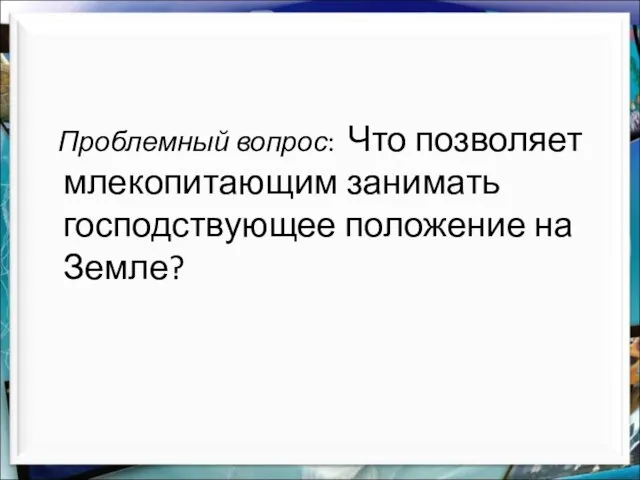 Проблемный вопрос: Что позволяет млекопитающим занимать господствующее положение на Земле?