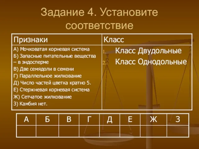 Задание 4. Установите соответствие