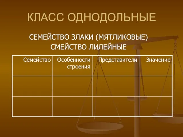 КЛАСС ОДНОДОЛЬНЫЕ СЕМЕЙСТВО ЗЛАКИ (МЯТЛИКОВЫЕ) СМЕЙСТВО ЛИЛЕЙНЫЕ