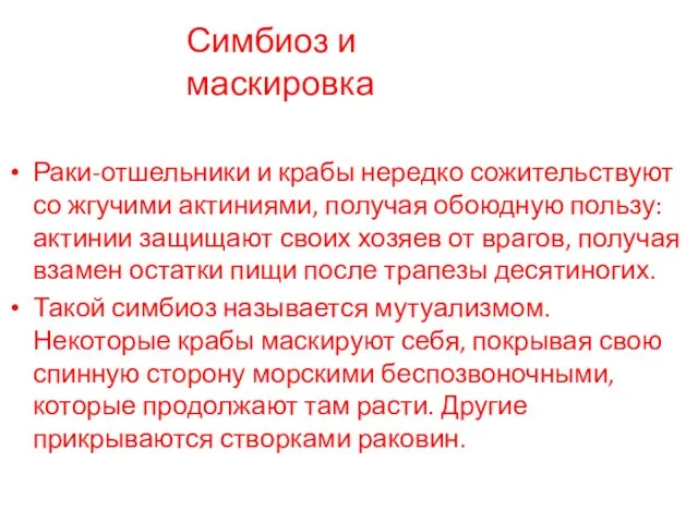 Раки-отшельники и крабы нередко сожительствуют со жгучими актиниями, получая обоюдную пользу: актинии