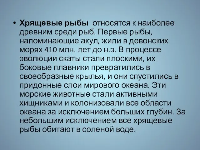 Хрящевые рыбы относятся к наиболее древним среди рыб. Первые рыбы, напоминающие акул,