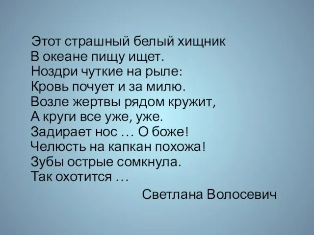 Этот страшный белый хищник В океане пищу ищет. Ноздри чуткие на рыле: