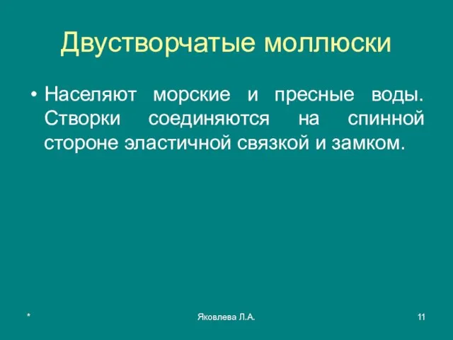 * Яковлева Л.А. Двустворчатые моллюски Населяют морские и пресные воды. Створки соединяются