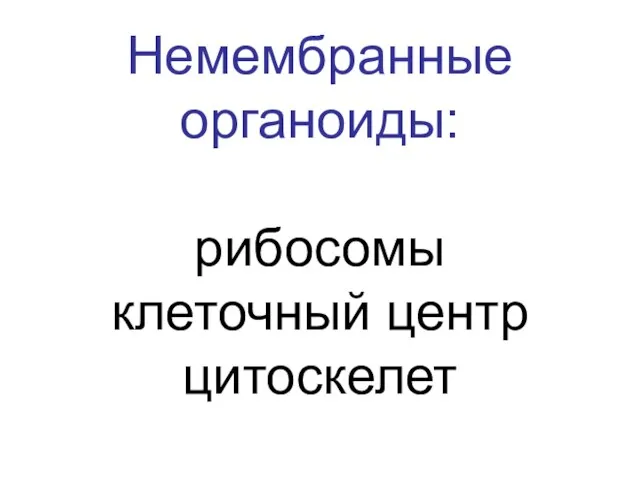 Немембранные органоиды: рибосомы клеточный центр цитоскелет