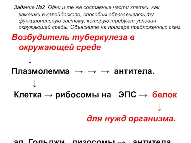 Задание №2 Одни и те же составные части клетки, как камешки в