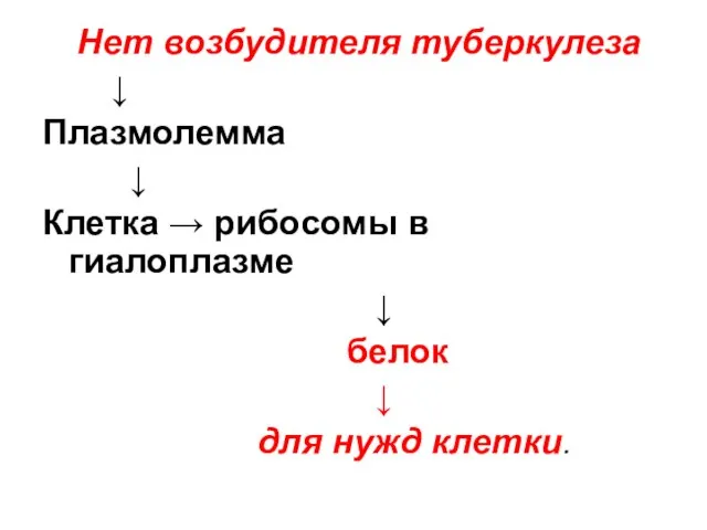 Нет возбудителя туберкулеза ↓ Плазмолемма ↓ Клетка → рибосомы в гиалоплазме ↓