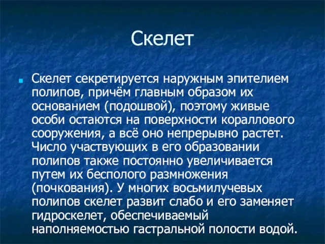 Скелет Скелет секретируется наружным эпителием полипов, причём главным образом их основанием (подошвой),