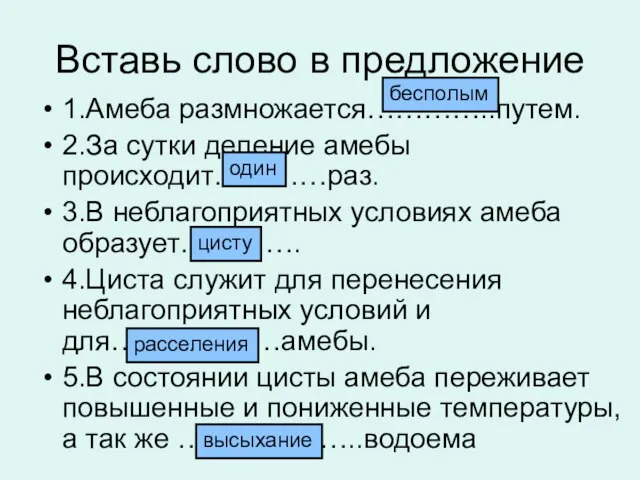 Вставь слово в предложение 1.Амеба размножается…………..путем. 2.За сутки деление амебы происходит…………раз. 3.В