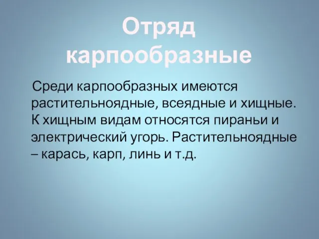 Среди карпообразных имеются растительноядные, всеядные и хищные. К хищным видам относятся пираньи