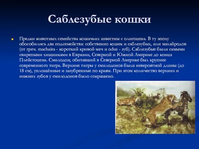 Саблезубые кошки Предки животных семейства кошачьих известны с олигоцена. В ту эпоху