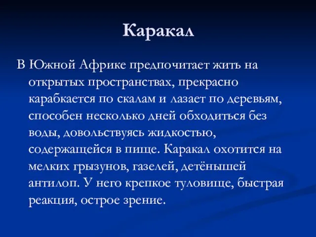 Каракал В Южной Африке предпочитает жить на открытых пространствах, прекрасно карабкается по