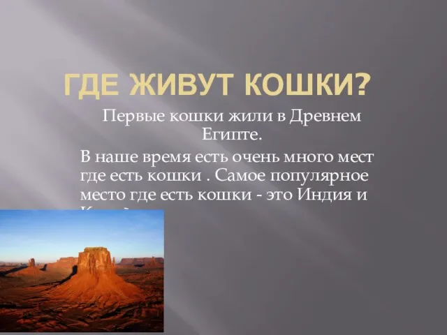 Где живут кошки? Первые кошки жили в Древнем Египте. В наше время