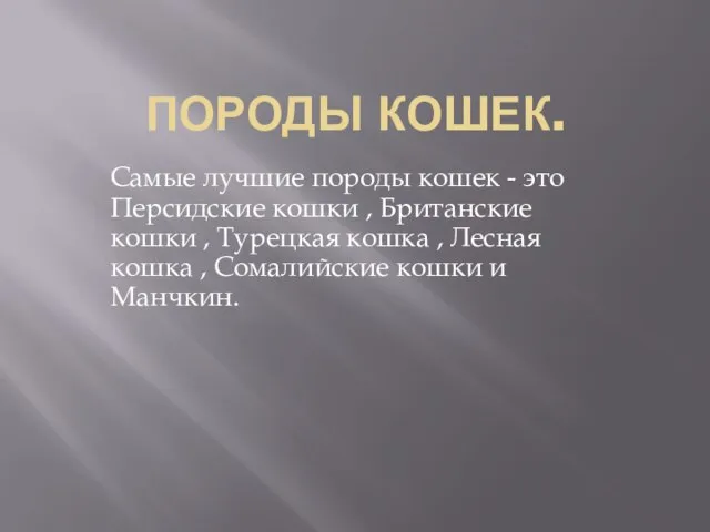 Породы кошек. Самые лучшие породы кошек - это Персидские кошки , Британские