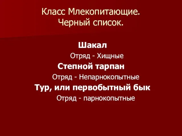 Класс Млекопитающие. Черный список. Шакал Отряд - Хищные Степной тарпан Отряд -