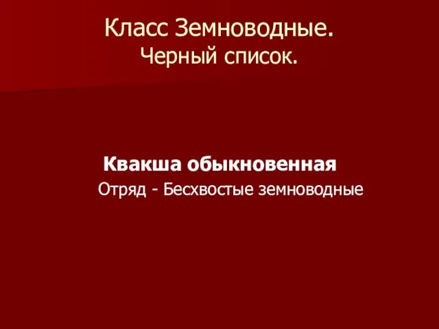 Класс Земноводные. Черный список. Квакша обыкновенная Отряд - Бесхвостые земноводные