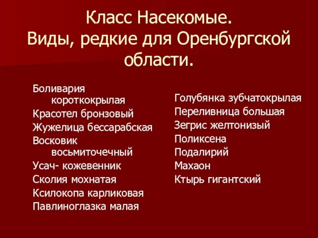 Класс Насекомые. Виды, редкие для Оренбургской области. Боливария короткокрылая Красотел бронзовый Жужелица