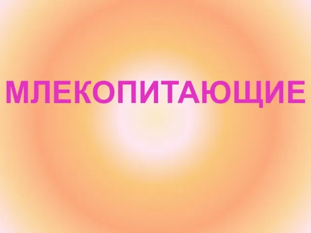 МЛЕКОПИТАЮЩИЕ