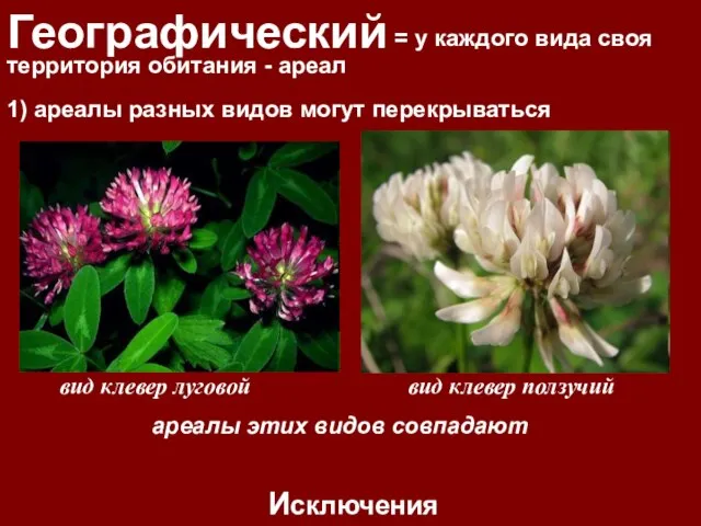 Географический = у каждого вида своя территория обитания - ареал Исключения 1)