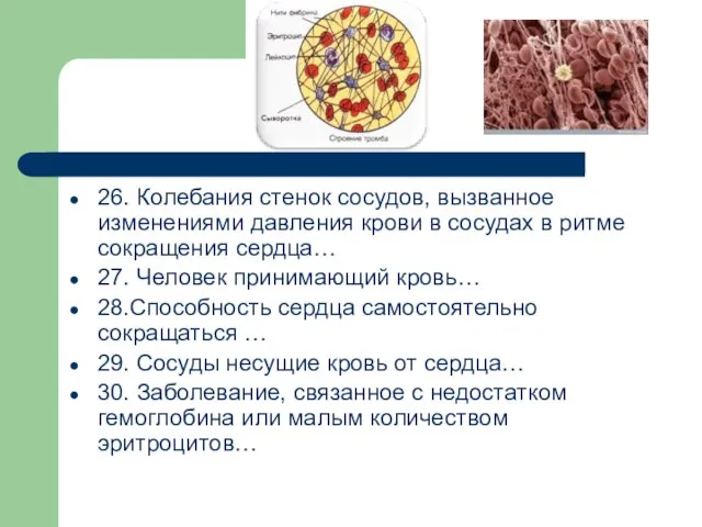 26. Колебания стенок сосудов, вызванное изменениями давления крови в сосудах в ритме