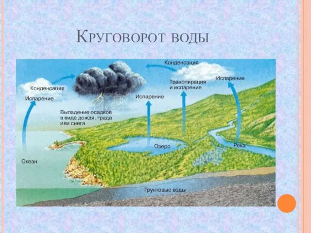 Круговорот воды