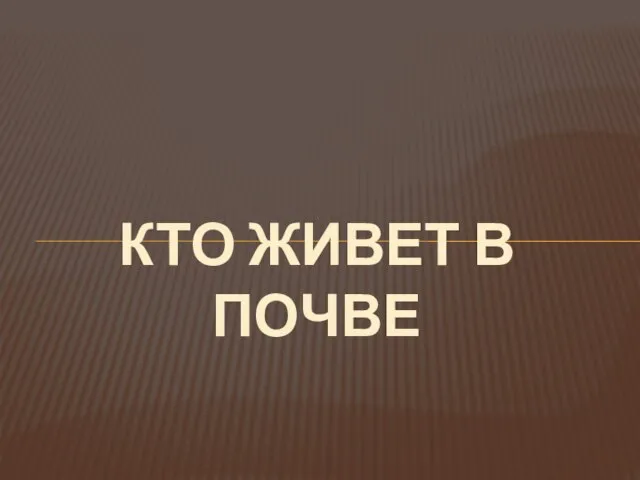 Кто Живет в почве