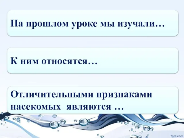 На прошлом уроке мы изучали… К ним относятся… Отличительными признаками насекомых являются …