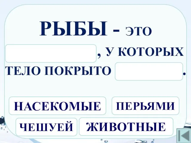 РЫБЫ - ЭТО ЖИВОТНЫЕ, У КОТОРЫХ ТЕЛО ПОКРЫТО ЧЕШУЕЙ. ПЕРЬЯМИ ЧЕШУЕЙ НАСЕКОМЫЕ ЖИВОТНЫЕ