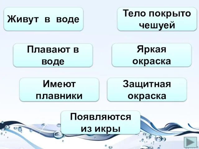 Живут в воде Плавают в воде Имеют плавники Появляются из икры Тело