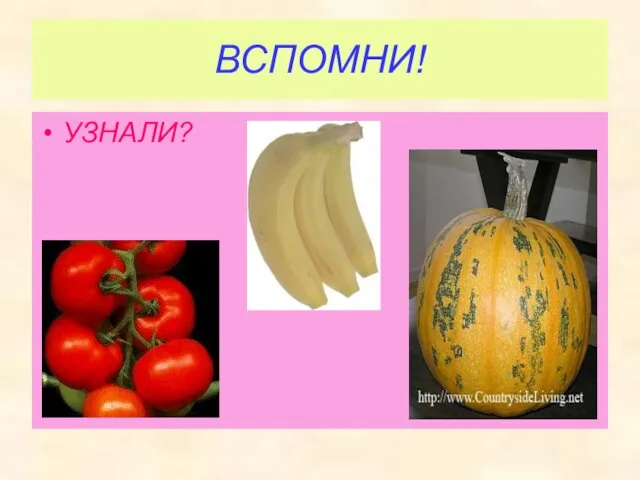 ВСПОМНИ! УЗНАЛИ?