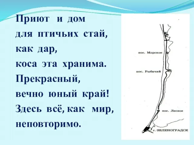 Приют и дом для птичьих стай, как дар, коса эта хранима. Прекрасный,