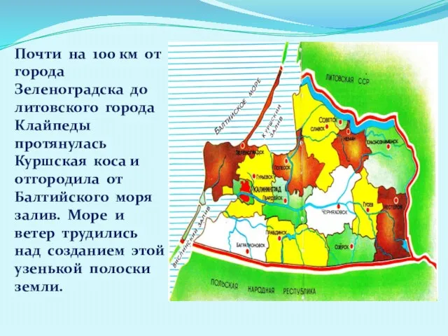 Почти на 100 км от города Зеленоградска до литовского города Клайпеды протянулась