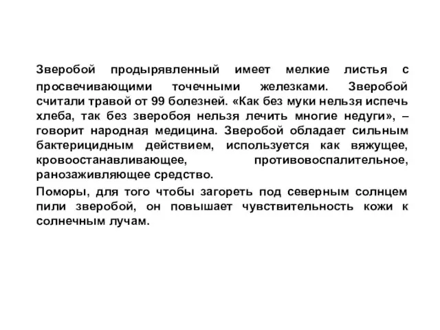 Зверобой продырявленный имеет мелкие листья с просвечивающими точечными железками. Зверобой считали травой