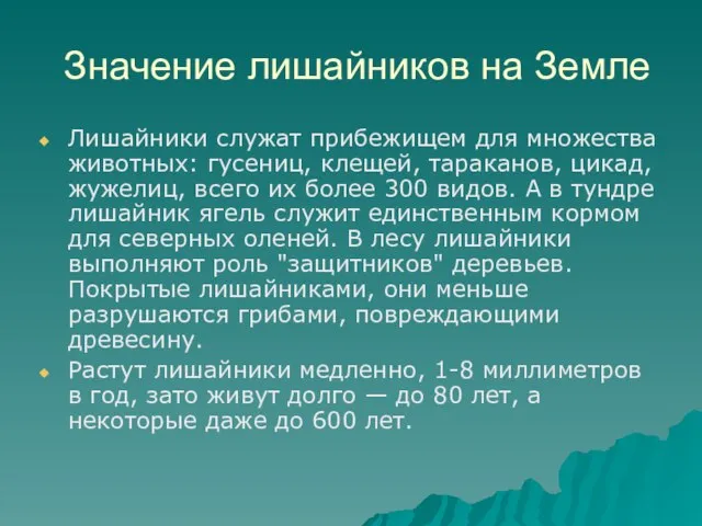 Значение лишайников на Земле Лишайники служат прибежищем для множества животных: гусениц, клещей,