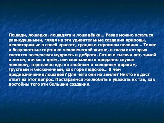 Лошади, лошадки, лошадята и лошадёнки... Разве можно остаться равнодушными, глядя на эти