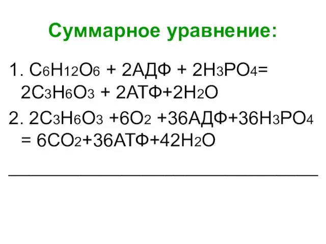 Суммарное уравнение: 1. С6Н12О6 + 2АДФ + 2Н3РО4= 2С3Н6О3 + 2АТФ+2Н2О 2.