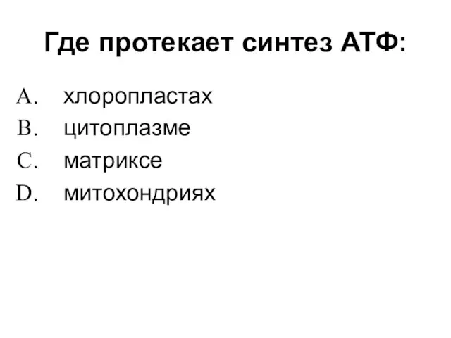 Где протекает синтез АТФ: хлоропластах цитоплазме матриксе митохондриях