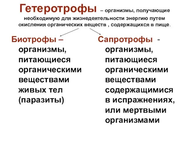 Гетеротрофы – организмы, получающие необходимую для жизнедеятельности энергию путем окисления органических веществ