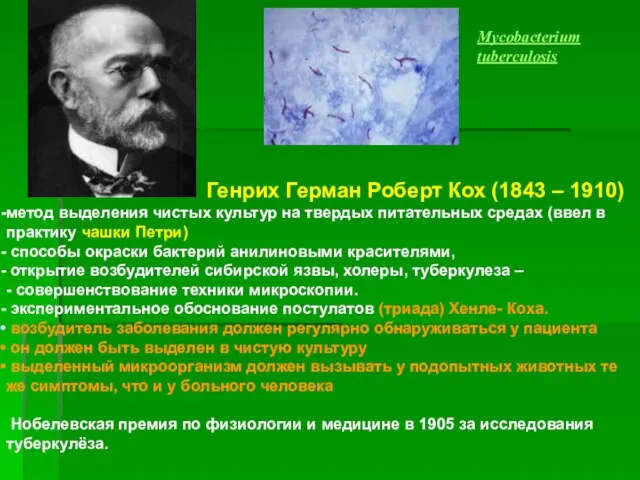 Mycobacterium tuberculosis Генрих Герман Роберт Кох (1843 – 1910) метод выделения чистых