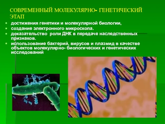 СОВРЕМЕННЫЙ МОЛЕКУЛЯРНО- ГЕНЕТИЧЕСКИЙ ЭТАП достижения генетики и молекулярной биологии, создание электронного микроскопа.