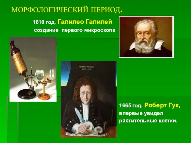 МОРФОЛОГИЧЕСКИЙ ПЕРИОД. 1610 год, Галилео Галилей создание первого микроскопа 1665 год, Роберт